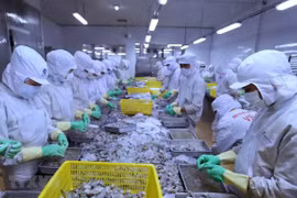 2021年前2月越南对美农林水产品出口额同比增长57.3%