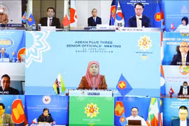 东盟加三高官会以视频形式召开