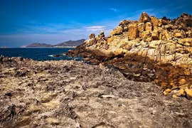 宁顺省主山生物圈保护区努力保护珍稀海龟