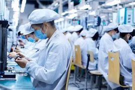 河内为外国直接投资企业化解困难