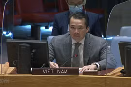 越南与联合国安理会：越南敦促努力解决中非共和国和叙利亚的人道主义和安全挑战
