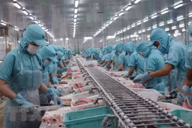 柬埔寨在停止进口越南四种鲶鱼后承诺遵守贸易自由化原则