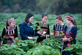 多措并举促进少数民族性别平等