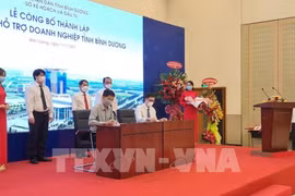 平阳省企业支持中心正式成立