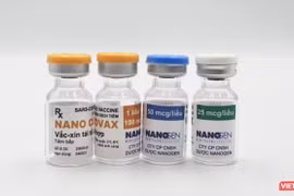 尽快完善有关紧急批准使用新冠疫苗Nanocovax的文件