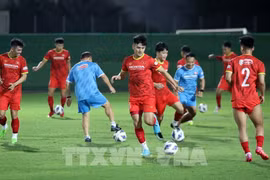 10月27日起球迷可购票观看越南队主场2场2022年世界杯亚洲区预选赛比赛