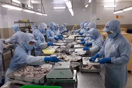 出口呈增长势头 但绝不能对疫情掉以轻心 