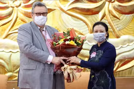 越南向芬兰驻越大使授予“致力于各民族和平友谊”纪念章