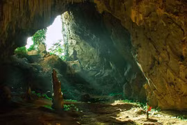 寻找恢复旅游业的方向