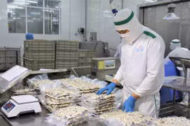 国内原料供应充足 软体动物出口大幅增加