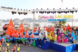 广宁省首次举行冬季狂欢节