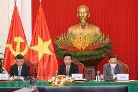 俄罗斯与东盟加强党际交流 深化合作关系