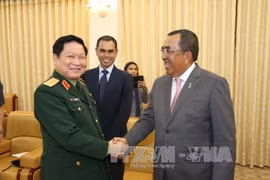 马来西亚国防部副部长佐哈里会见越南国防部部长吴春历大将（图片来源：越通社）