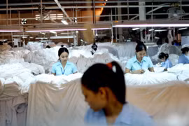 ​​合隆（越南）有限公司是永福省立石县第三个外商独资公司（图片来源：​因特网）