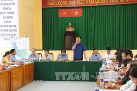 胡志明市市委书记丁罗升赴芹耶县调研（图片来源：越通社）