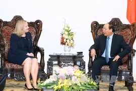 越南政府总理阮春福会见爱尔兰驻越南大使。（图片来源：越通社）