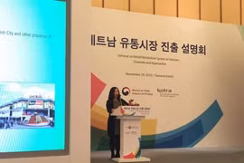 ​“越南零售系统：分销渠道及开展方式”的研讨会在河内市举行（图片来源：越通社）