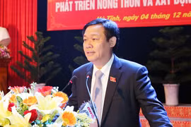 越南政府副总理王廷惠发表讲话。