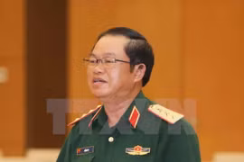 越南国会副主席杜伯巳大将