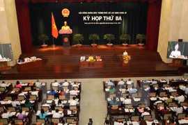 胡志明市第九届人民议会第三次会议拉开序幕