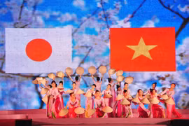 附图（图片来源于网络）