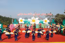 2016年油茶花节在广宁省平辽县正式开幕（图片来源：​baoquangninh.com.vn）