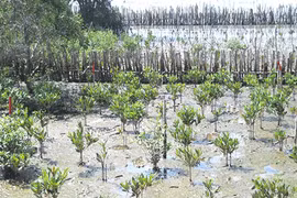附图
