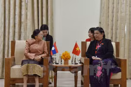国会副主席丛氏放在金边与老挝国会主席巴妮•雅陶都进行双边会晤