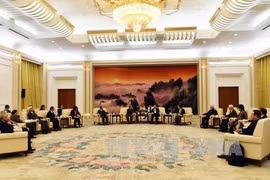 中国全国政协副主席万钢会见越南代表团