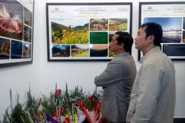 参展的观众