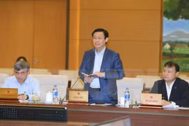 越南政府副总理王廷惠（图片来源：越通社）