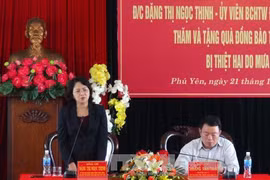 邓氏玉盛同富安省人民委员会就当地灾后恢复重建工作举行座谈。