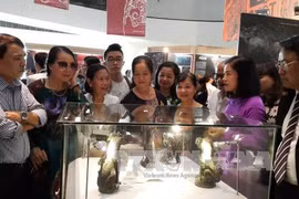  “越南灵物”专题展在河内举行 