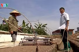 附图