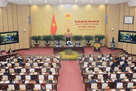 河内市第十五届人民议会第三次会议全景（图片来源：越通社）