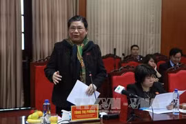 越南国会常务副主席丛氏放在会上发表讲话（图片来源：越通社）