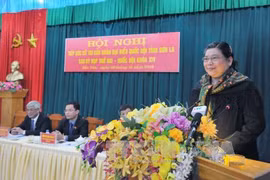 国会常务副主席丛氏放发表讲话（图片来源：越通社）