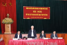 越共中央总书记阮富仲接触河内市东英县和龙边郡选民