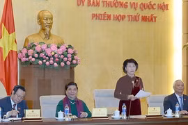 国会主席阮氏金银在会议上发表讲话