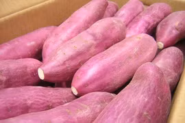 农粮兽医局澄清，红薯变成绿色是自然产生的，并非如网上所指是生长自被“橙剂”污染的土壤。