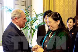 越南国会副主席丛氏放会见意大利参议院议长彼得罗•格拉索（图片来源：越通社）