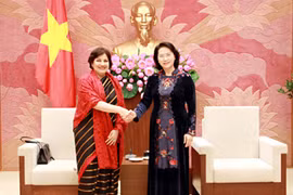 越南国会副主席阮氏金银会见印度驻越特命全权大使莎兰