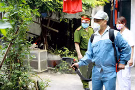 越南积极采取措施 防止寨卡病毒和登革热蔓延（图片来源：越通社）