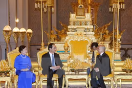 陈大光主席会见柬埔寨国王诺罗敦·西哈莫尼（图片来源：越通社）