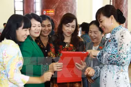努力提高越南国会代表中少数民族代表的比例
