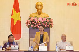 国会主席阮氏金银在闭幕时发表讲话（图片来源：越通社）