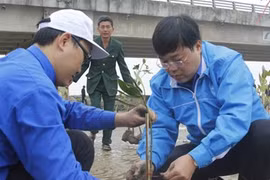 胡志明市共青团发起2016年植树节