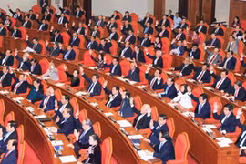 越共十一届十四中全会
