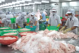 ​附图（图片来源：越通社）