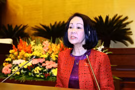 国会常委会委员、国会社会问题委员会主任张氏梅作关于《药物法案》（修正案）解答、吸收和整理的报告（图片来源：越通社）